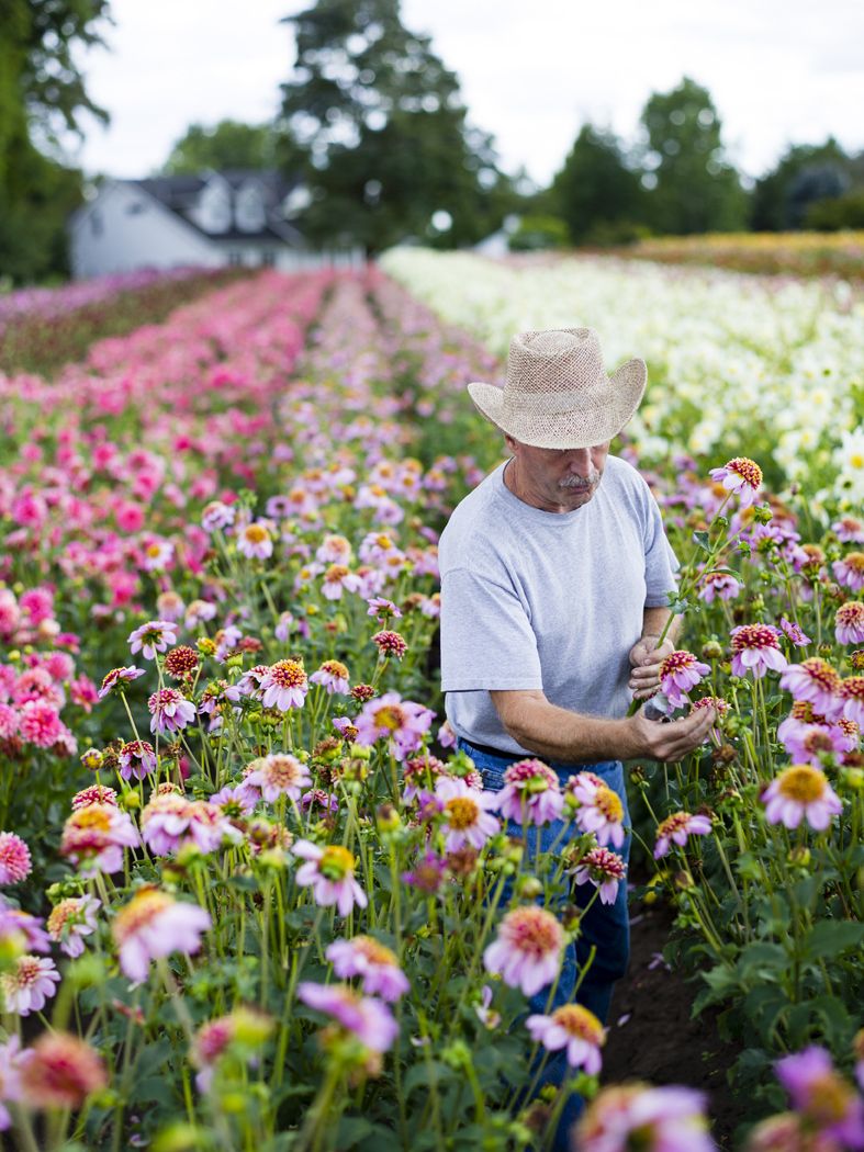 Horticulteurs Français - Boticia